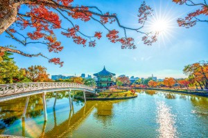 JUŽNA KOREJA: SEUL, BUSAN, OTOK JEJU - 10 DNI