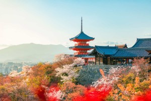 JAPONSKA V JESENSKIH BARVAH - 13 DNI
