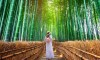 ZAKLADI JAPONSKE: TOKIO, OSAKA, GORA FUJI, KYOTO - 12 DNI