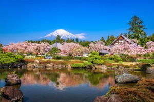 JAPONSKA V ČASU CVETOČIH ČEŠENJ - 13 DNI