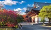 ZAKLADI JAPONSKE: TOKIO, OSAKA, GORA FUJI, KYOTO - 12 DNI