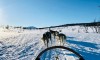 ARKTIKA IN SEVERNI SIJ - 6 DNI