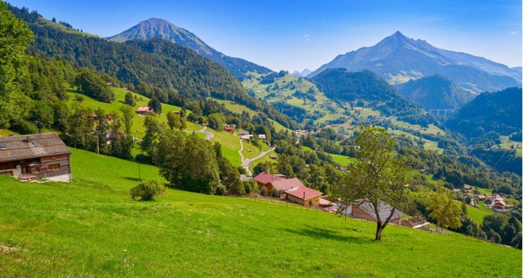 POČITNICE V ŠVICARSKIH GORAH - 7 DNI