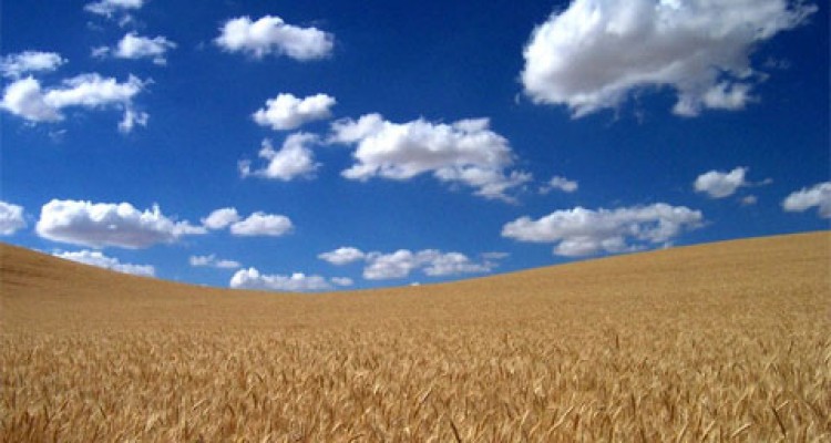 PRLEKIJA IN PREKMURJESlovenija